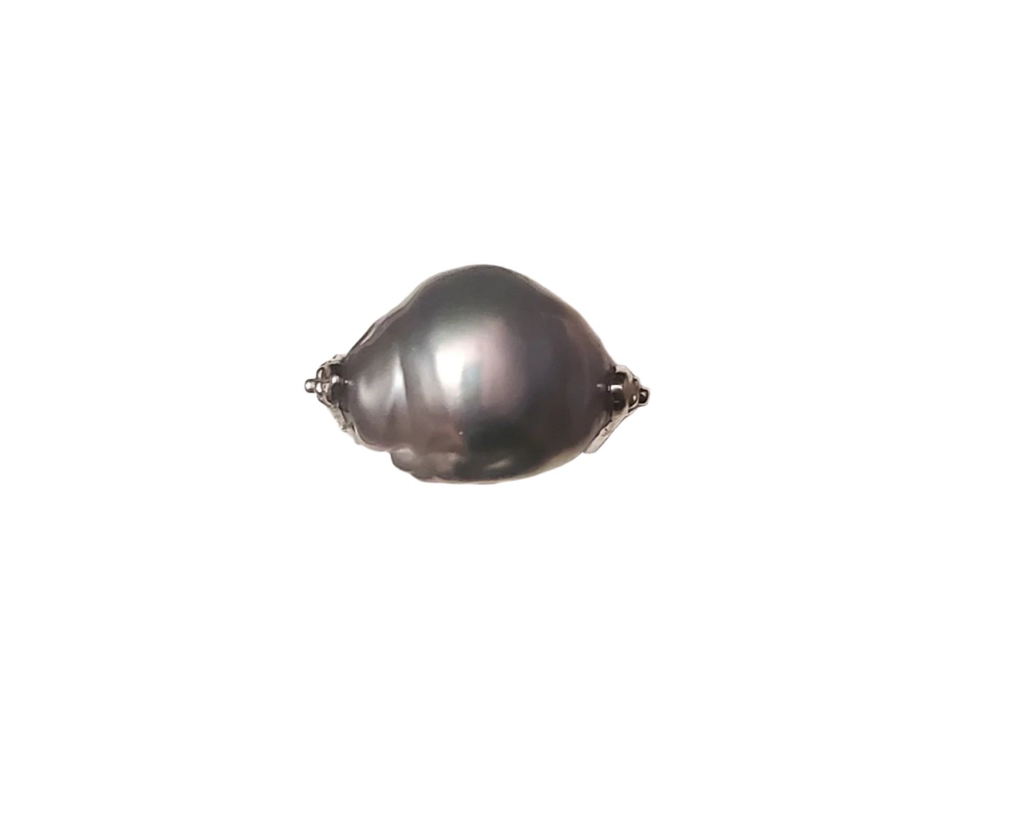 Shell Ring