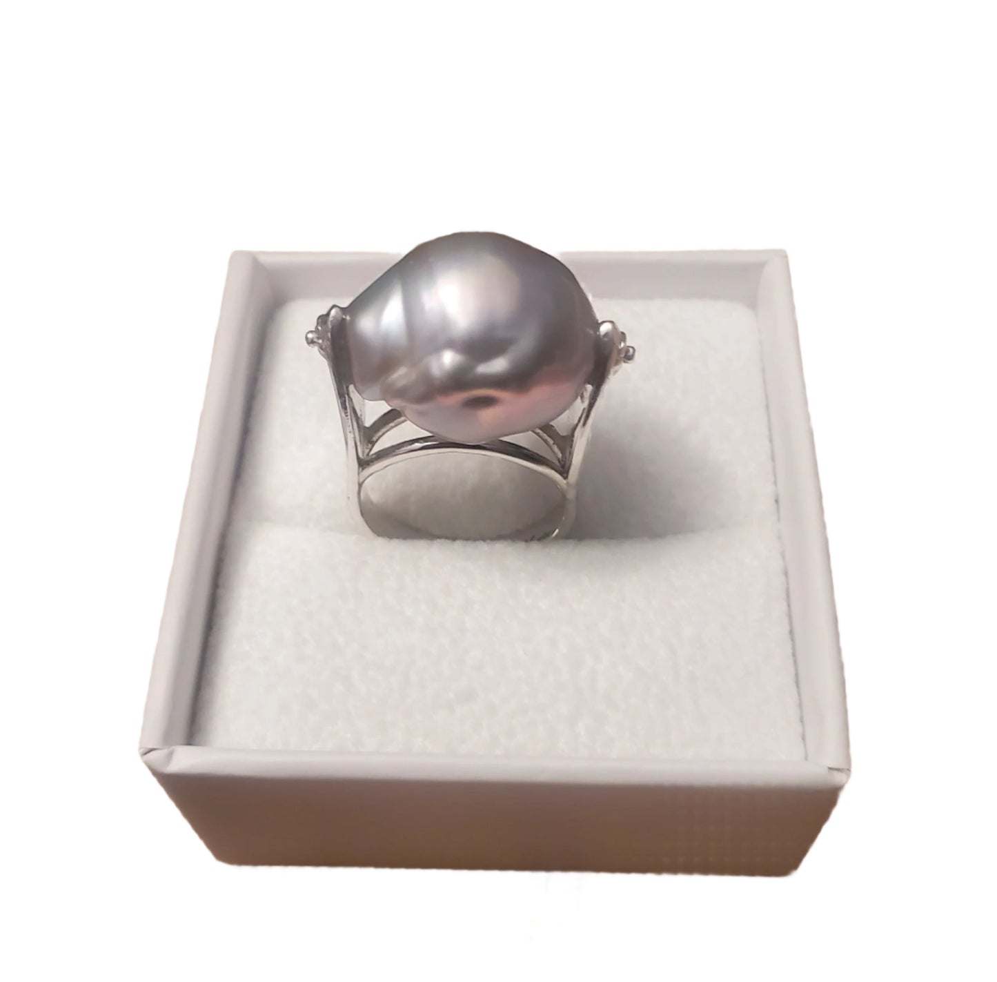 Shell Ring