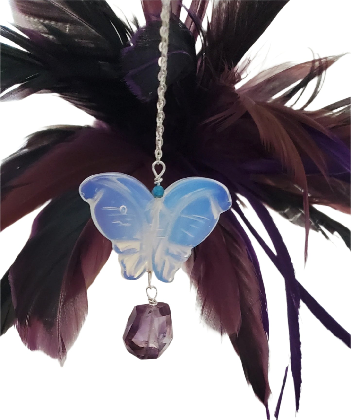 Sweet Flutter