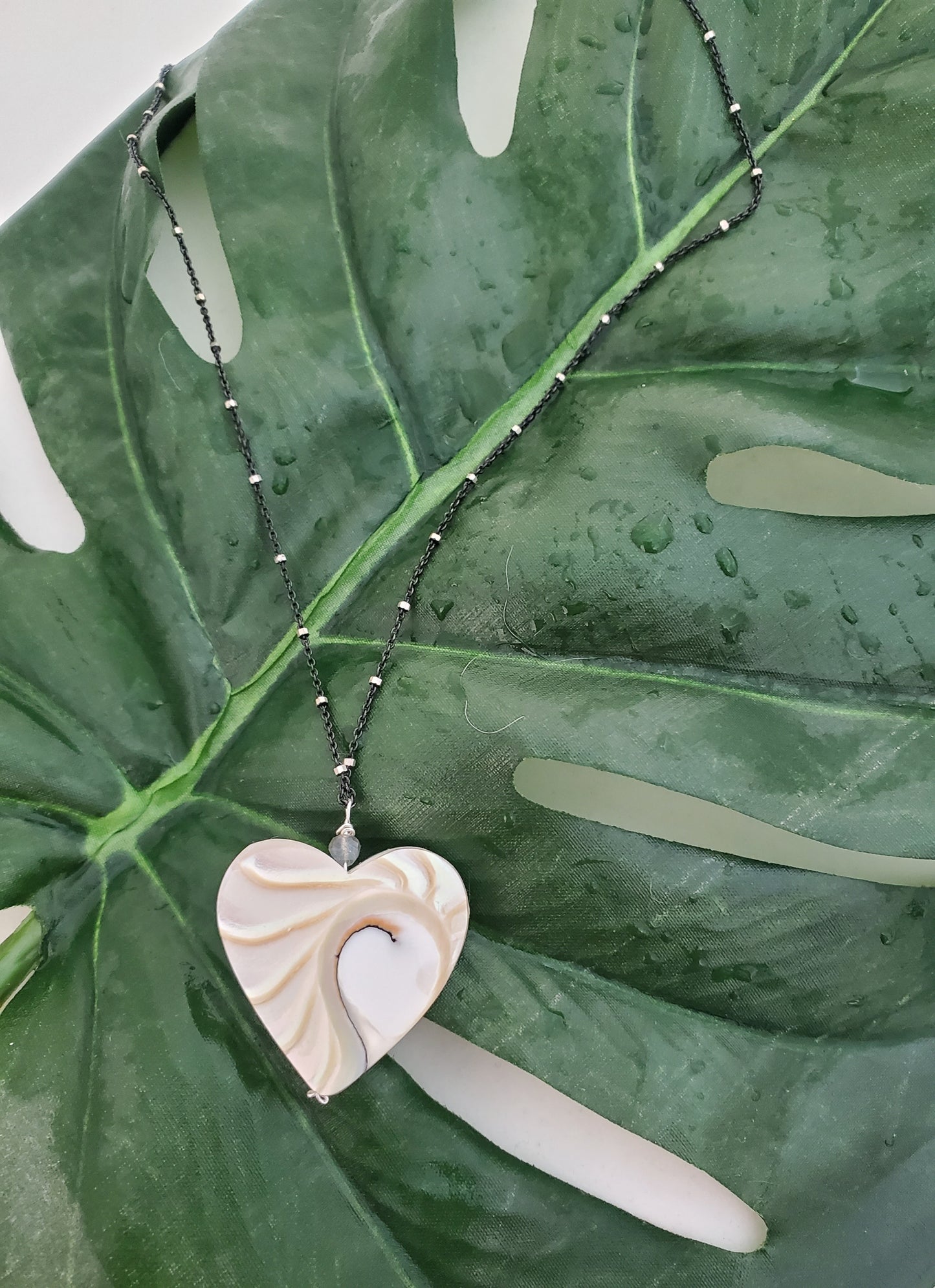 Shell Heart